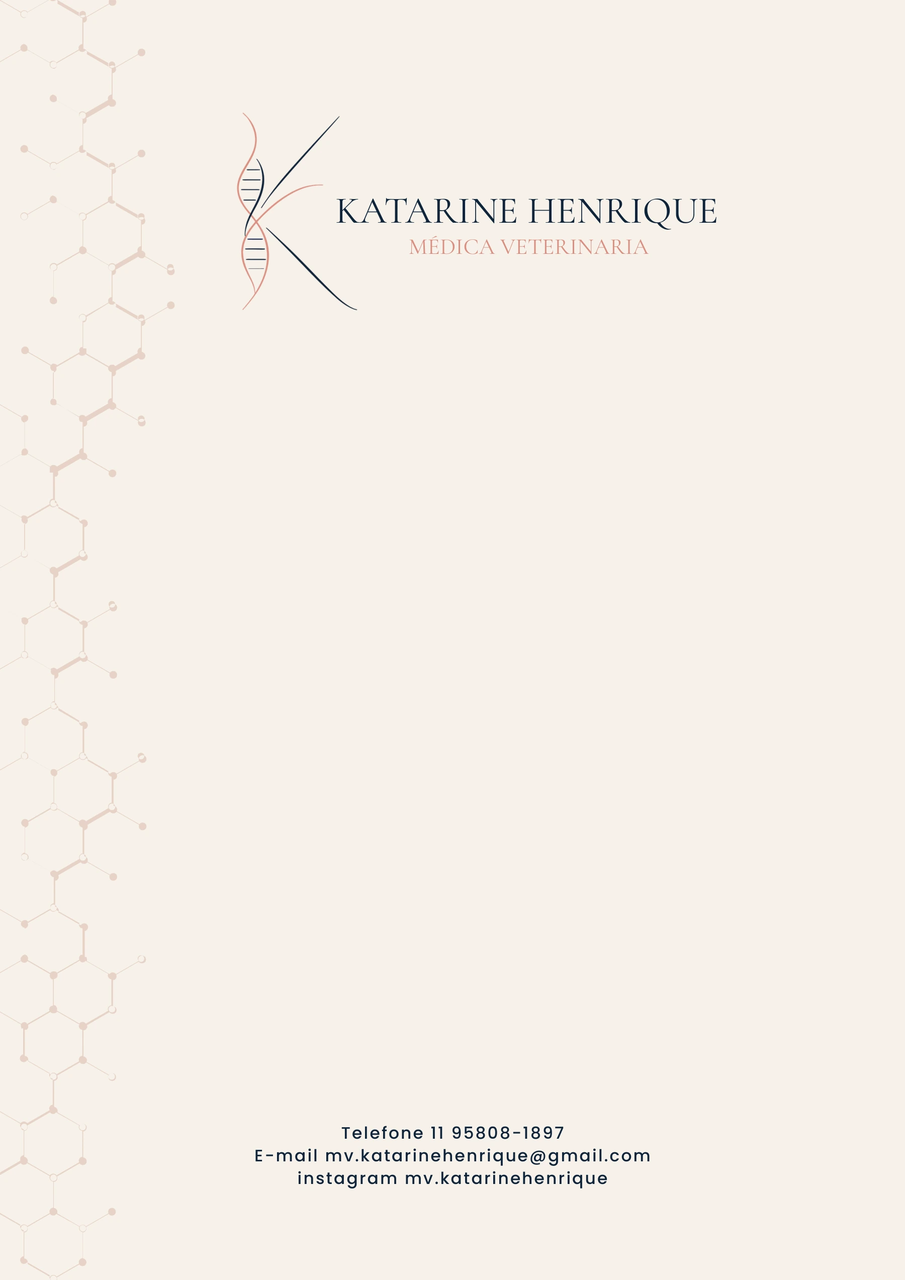 Receituário com a identidade visual de Katarine Henrique